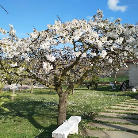 シャレー Casa - Madera Canadiense