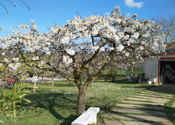 Chalet Casa - Madera Canadiense